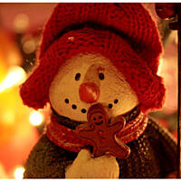 Ciasteczka imbirowe chrupiące