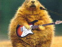 Fot. kamaxyz, Całodobowo !!!!...Obiecanki...rymowanki