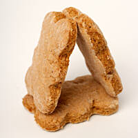 Katarzynki orzechowe