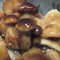 Opieńki marynowane Marty - PNIAKÓWKI