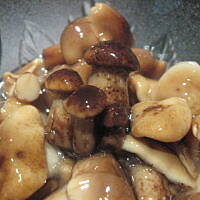 Opieńki marynowane Marty - PNIAKÓWKI