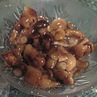 Opieńki marynowane Marty - PNIAKÓWKI