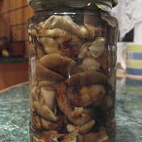 Opieńki marynowane Marty - PNIAKÓWKI