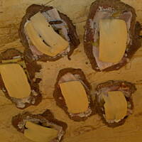 roladki schabowe z dzika