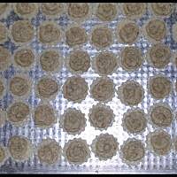 Ciasteczka na andrucie na Boze Narodzenie