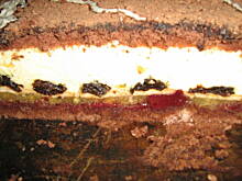 Fot. Kasia82, Biszkopt  z jabłkami i cytrynową pianką