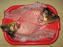 Fot. Zbyh 1, Mój sposób na karpia