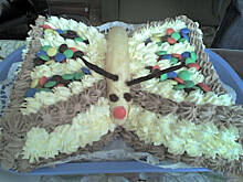 Fot. iwonka4255, Motylek