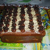 Figowiec siostry anastazji