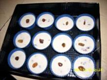 Fot. kaśkrak30, Mufki szybkie dla początkujących