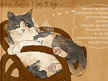 Fot. anay, Karnawał, ostatki, mięsopusty...