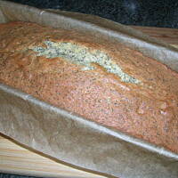 babka piegowata Anes