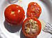 Fot. tomek_k, Pomidory nadziewane serem pleśniowym