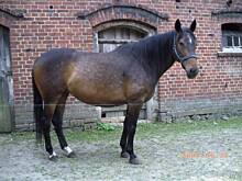 Fot. CZOS, Zwiedzam WŻ