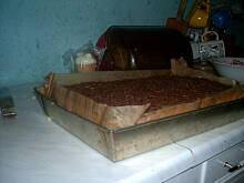 Fot. marlena1, Katarzynka Marleny