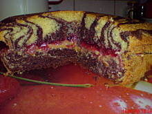 Fot. ssasanka, Zebra Zuzi