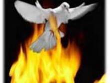 Fot. kamaxyz, pomysł....na...dobry dzień