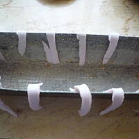 mięsko Kasi na kanapki