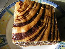 Fot. joasia1204, Ulepszona ZEBRA