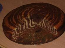 Fot. macha17, zeebra