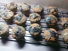 Fot. osulka, Muffinki smerfetki