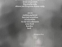 Fot. tajger, Nie czyń drugiemu co Tobie nie mile....