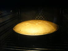 Fot. kizi-mizi0, Biszkopt-Kizi