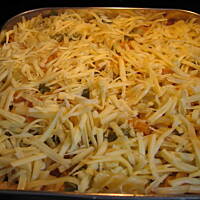 Lazania świderkowa Marty