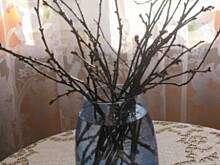 Fot. martikoziolek, Gałązki wiśni- wróżba Marty