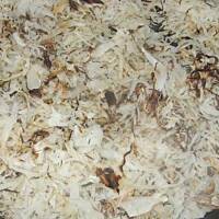 Protal - pulpety w sosie pomidorowym