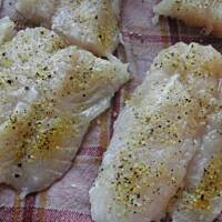 Protal - ryba zapiekana w sosie jogurtowym