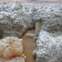 Protal - ryba zapiekana w sosie jogurtowym