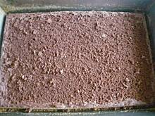 Fot. onlyred, Biszkopt nietradycyjny zawsze się udający