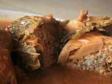 Fot. kasiul_a, Prawdziwe gołąbki w pikantnym sosie pomidorowym