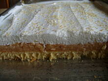 Fot. agness, pychotka jabłkowa