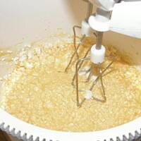 Protal - serniczek na zimno