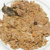 Protal - chudy bigos