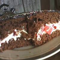 Piernikopodobny przekładany tyniuni