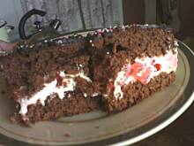 Fot. tyniunia123, Piernikopodobny przekładany tyniuni