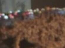 Fot. tyniunia123, bardzo pyszna polewa