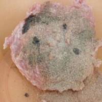 Protal - cukiniowe łódeczki z mięsem