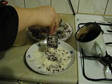 Fot. Halina07, Kudłacze wg Haliny