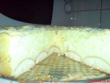 Fot. ssasanka, Sernik Zuzi