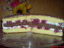 Fot. ssasanka, Tort Zuzi