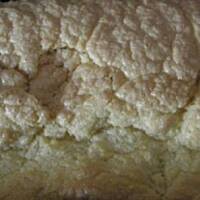 Protal - ciasto biszkoptowe