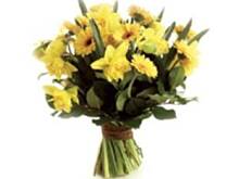 Fot. abiola, Wiosna na Zacisznej.... (odsłona 12)