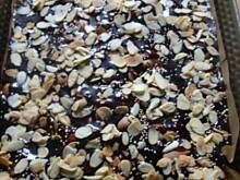 Fot. agness, mulatkowy jabłecznik