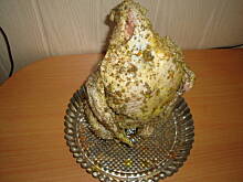 Fot. LIDA, Kurczak pieczony na butelce