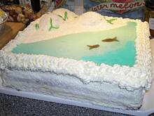 Fot. Glumanda, Tort Plaza z wydmami