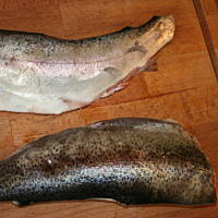 Grillowany pstrąg bardzo aromatyczny kasiuli